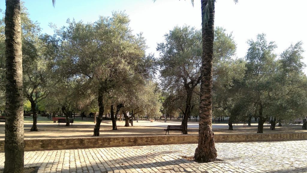 Apartamento Buhaira Sevilla Buitenkant foto